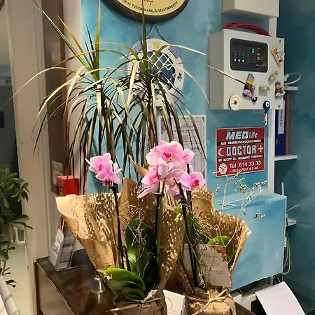 La Bella ホテル クシャダス